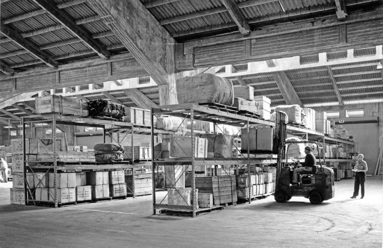 הטרמינל בנמל חיפה