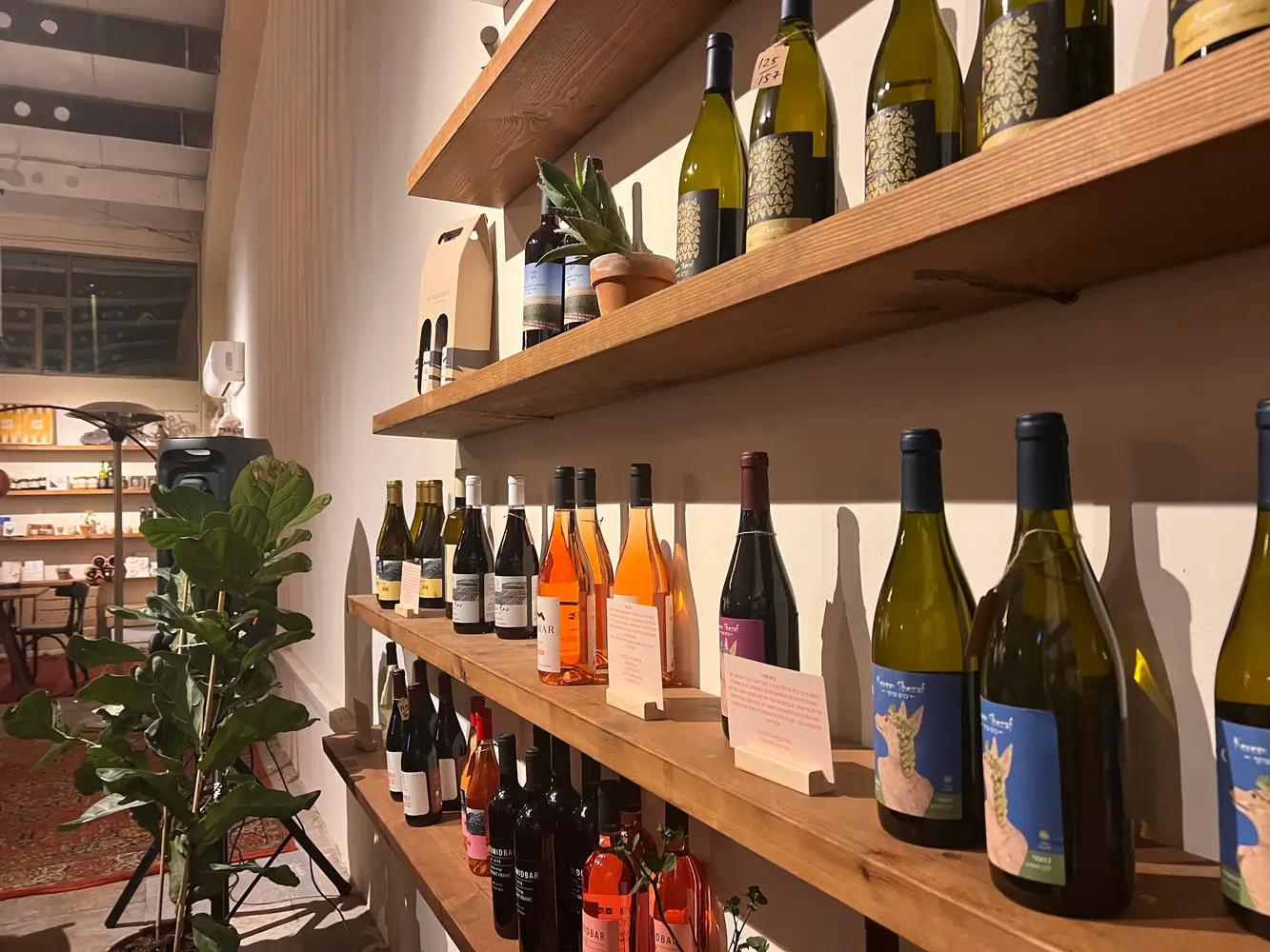 ברי יין מומלצים