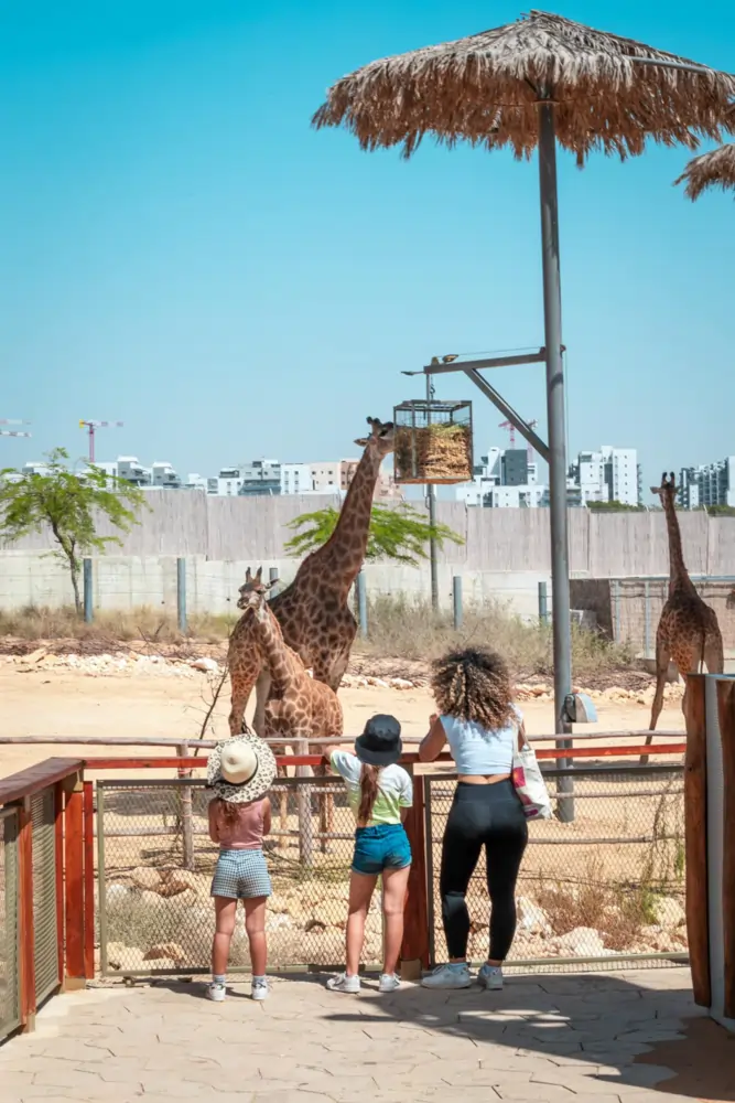 העיר העתיקה באר שבע