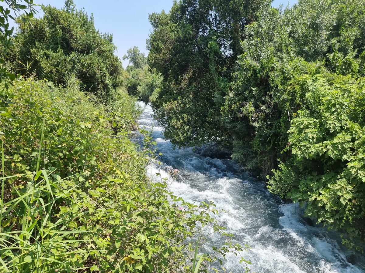 מי נחל דן שוצפים בין העצים בשמורה