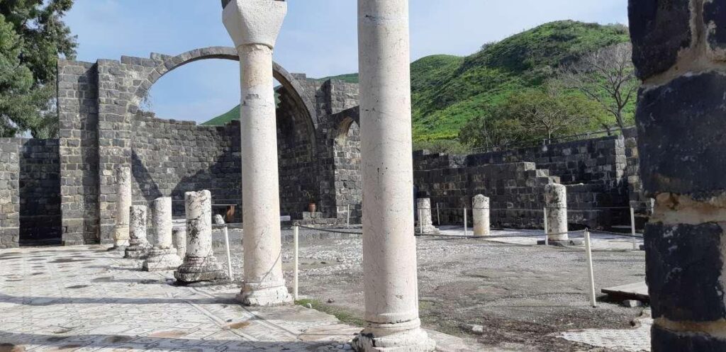 כורסי טיול שרית פלצי מיארה רטג (1)