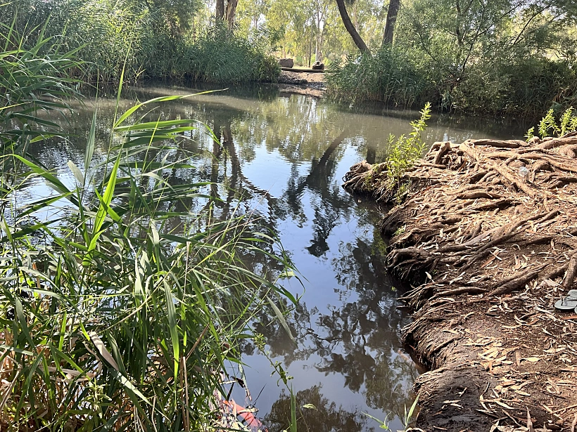 עין צנובר | צילום: אבנית סטרולוב