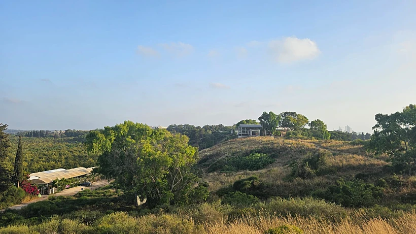 הנוף משמורת ביתן אהרון | צילום: מיכל בן ארי מנור
