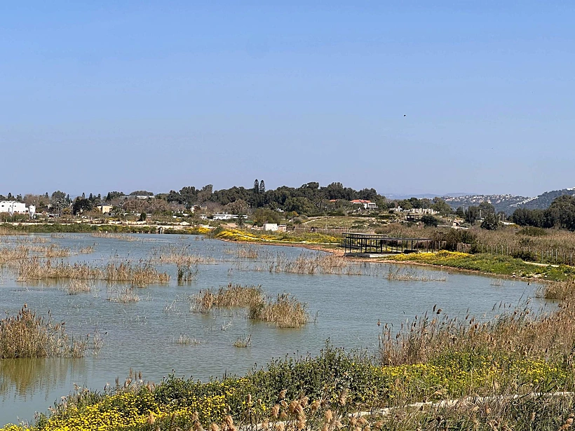 מרכז הצפרות במעגן מיכאל | צילום: אבנית סטרולוב
